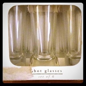 Pier 1 Import tall shot glasses